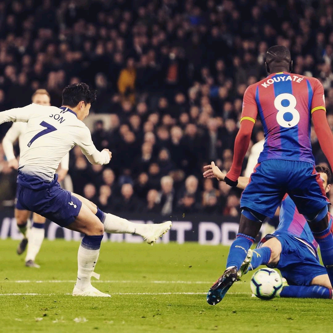 租借决定的 租借决定的