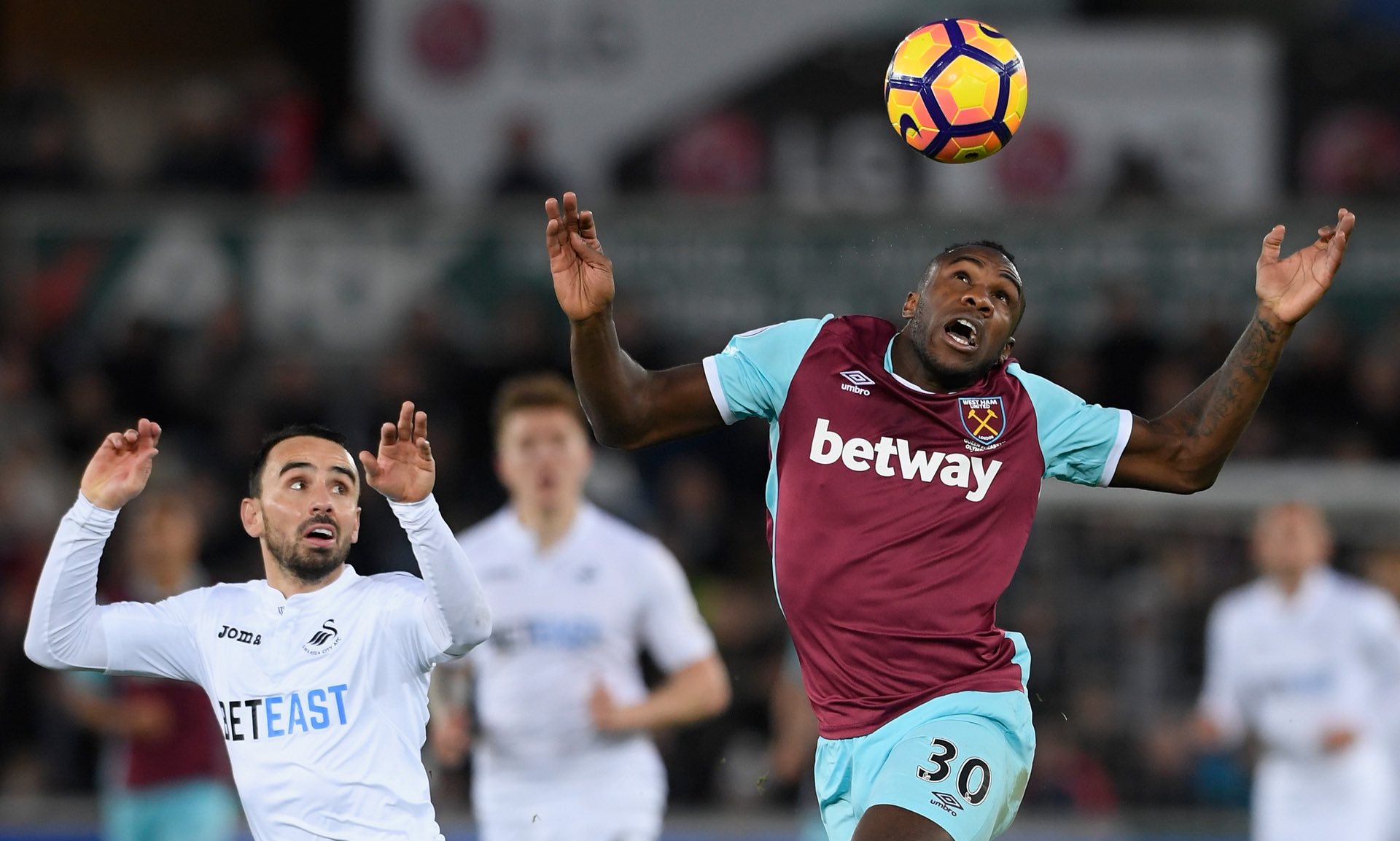 实属难得 实属难得